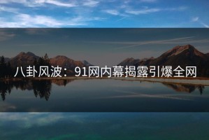 八卦风波：91网内幕揭露引爆全网