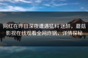 网红在昨日深夜遭遇猛料 迷醉，蘑菇影视在线观看全网炸锅，详情探秘