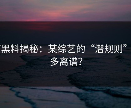 17黑料揭秘：某综艺的“潜规则”有多离谱？