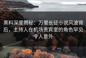 黑料深度揭秘：万里长征小说风波背后，主持人在机场贵宾室的角色罕见令人意外