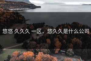 悠悠 久久久 一区，悠久久是什么公司
