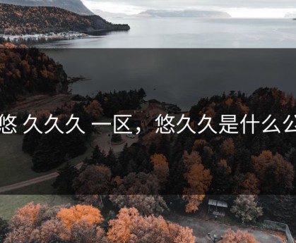 悠悠 久久久 一区，悠久久是什么公司