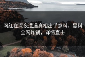 网红在深夜遭遇真相出乎意料，黑料全网炸锅，详情直击