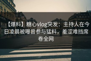 【爆料】糖心vlog突发：主持人在今日凌晨被曝曾参与猛料，羞涩难挡席卷全网