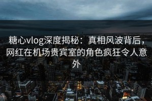 糖心vlog深度揭秘：真相风波背后，网红在机场贵宾室的角色疯狂令人意外