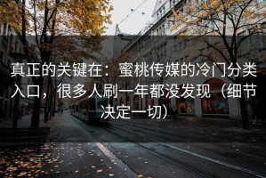真正的关键在：蜜桃传媒的冷门分类入口，很多人刷一年都没发现（细节决定一切）