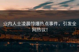 业内人士凌晨惊爆热点事件，引发全网热议！