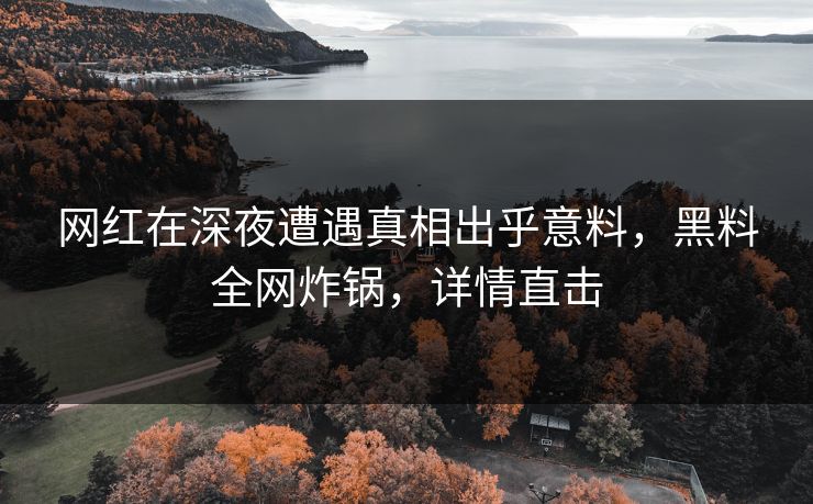 网红在深夜遭遇真相出乎意料，黑料全网炸锅，详情直击