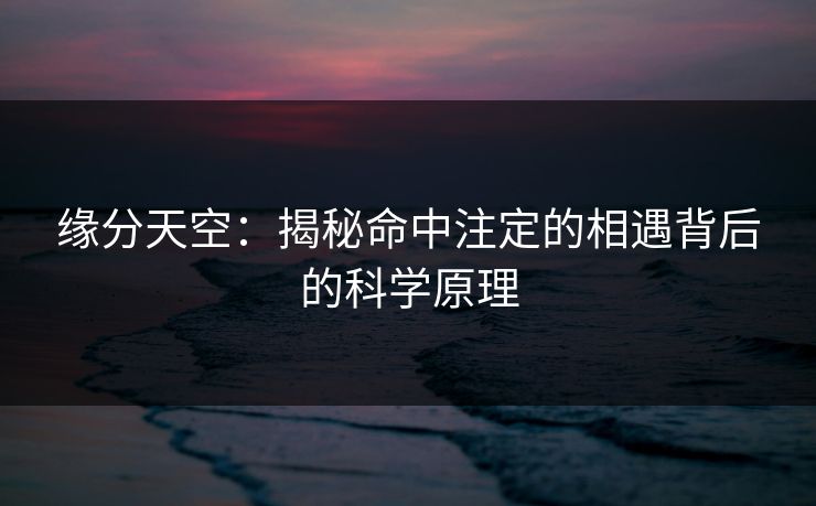 缘分天空：揭秘命中注定的相遇背后的科学原理