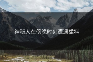 神秘人在傍晚时刻遭遇猛料