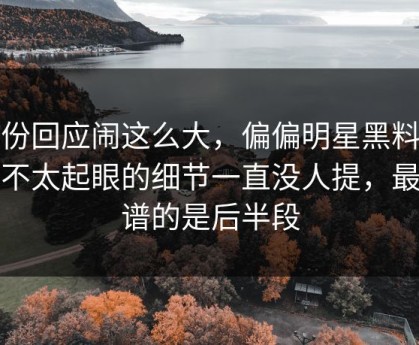 那份回应闹这么大，偏偏明星黑料这个不太起眼的细节一直没人提，最离谱的是后半段