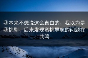 我本来不想说这么直白的，我以为是我挑剔，后来发现蜜桃导航的问题在共鸣