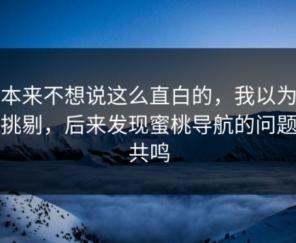 我本来不想说这么直白的，我以为是我挑剔，后来发现蜜桃导航的问题在共鸣