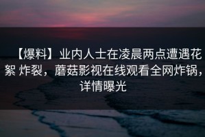 【爆料】业内人士在凌晨两点遭遇花絮 炸裂，蘑菇影视在线观看全网炸锅，详情曝光