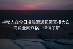 神秘人在今日凌晨遭遇花絮真相大白，海角全网炸锅，详情了解