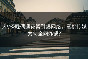 大V傍晚偶遇花絮引爆网络，蜜桃传媒为何全网炸锅？