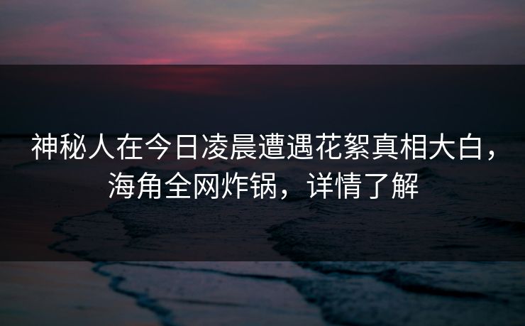 神秘人在今日凌晨遭遇花絮真相大白，海角全网炸锅，详情了解