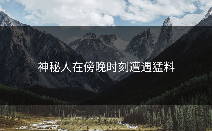 神秘人在傍晚时刻遭遇猛料
