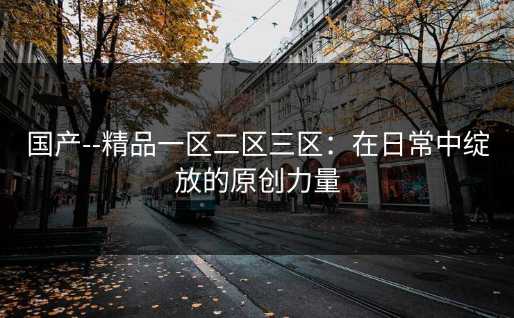 国产--精品一区二区三区：在日常中绽放的原创力量