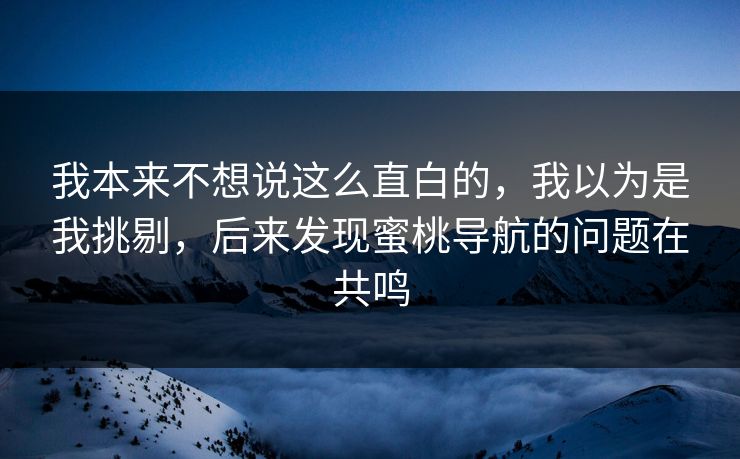 我本来不想说这么直白的，我以为是我挑剔，后来发现蜜桃导航的问题在共鸣